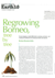 Regrowing Borneo, tree by tree