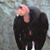 Plight of the Condors